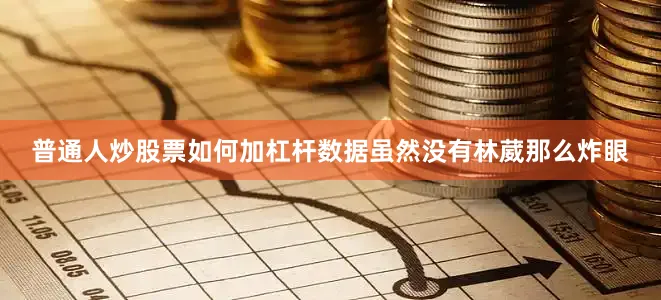 普通人炒股票如何加杠杆数据虽然没有林葳那么炸眼